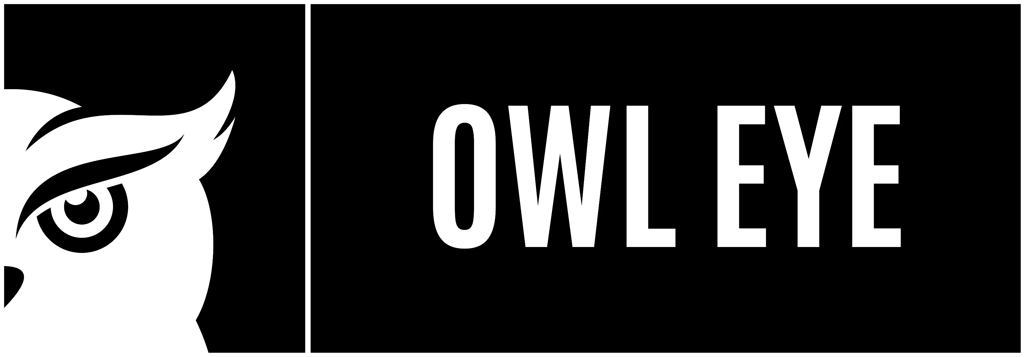 OwlEye Logo